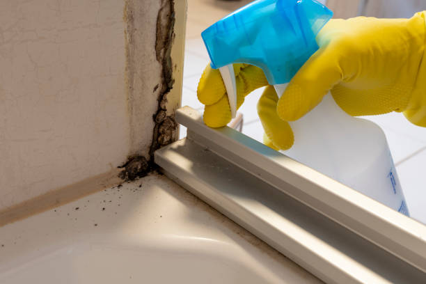 Best Industrial Mold Remediation in Milton, WI