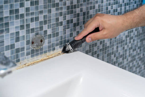 Best Mold Testing and Inspection Services in Milton, WI